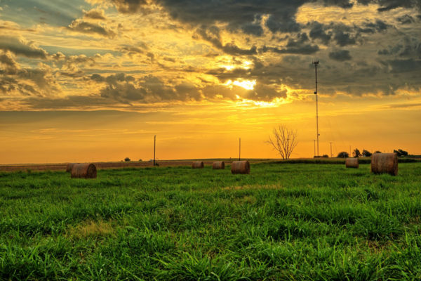 Morgensonne auf dem Land